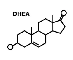 A structural representation of vital hormones
