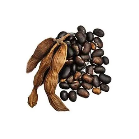 Velvet bean seeds from a tropical legume