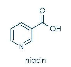 Vitamin B3 niacin rich natural foods